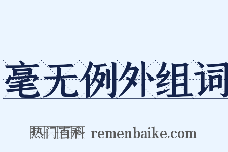毫无例外组词是什么意思的图片